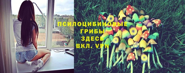 прущая мука Алзамай